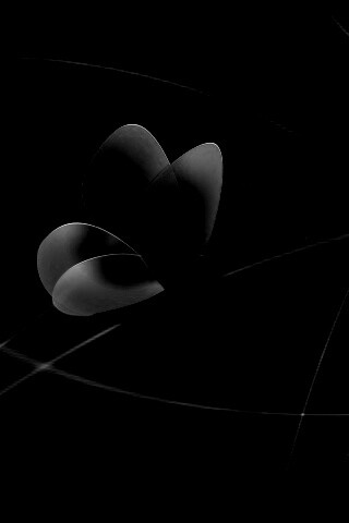 Бабочка с радужными крыльями обои