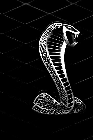 Логотипа Форда Шелби обои