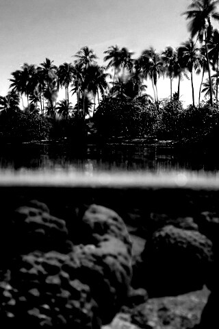 Из-под воды обои