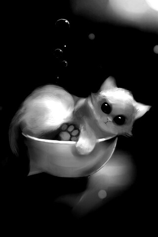 Котёнок в миске обои