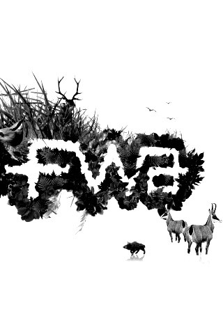 FWA обои