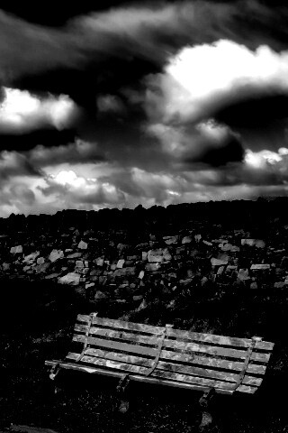 Скамейка у дороги обои