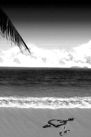 Любовь на океанском берегу обои