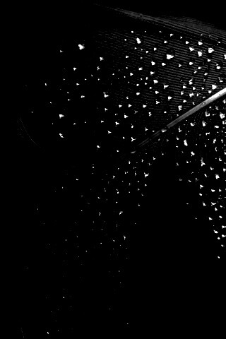 Капли на черном пере обои