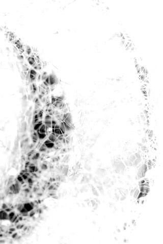 Мыльная пена обои