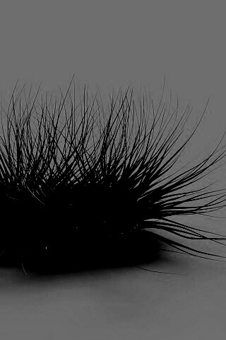 Волосатая мочалка обои