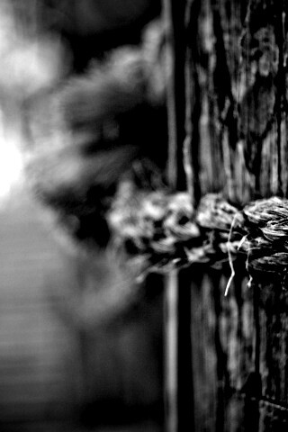 Веревка на деревянном столбе обои