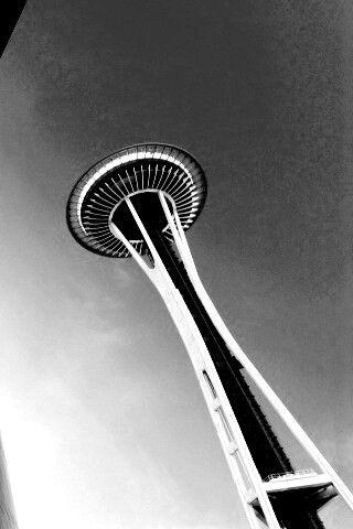 Space Needle Tower обои