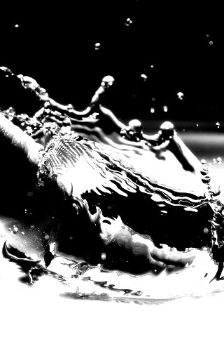 Палец в воде обои