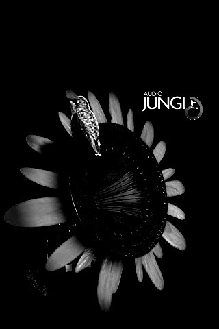 Звуки джунглей обои