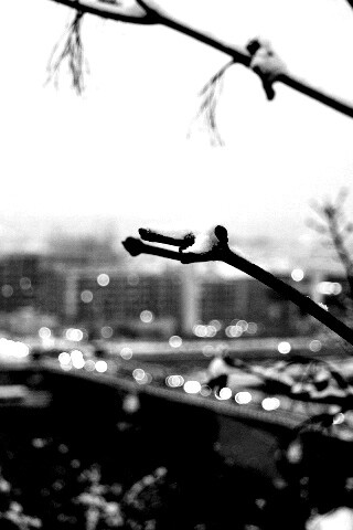 Зима в городе обои