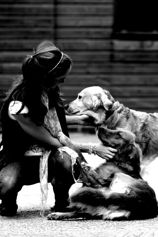 Девушка с собаками обои