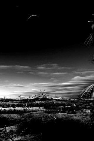 Флора и фауна другой планеты обои