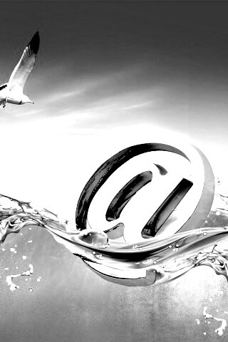 Собака тонет обои