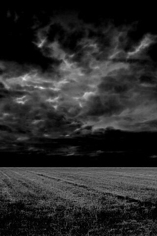 Тучи над желтым полем обои