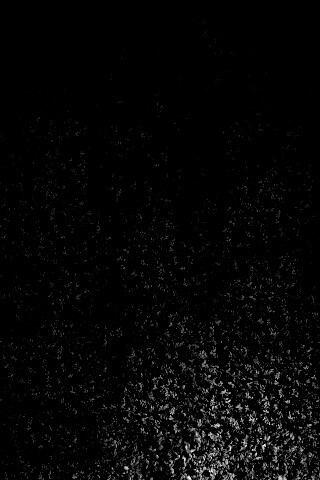 Травяной фон обои