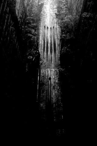 После конца света обои