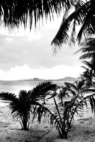 Настоящее лето обои