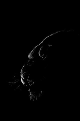 Рисунок грозного тигра обои