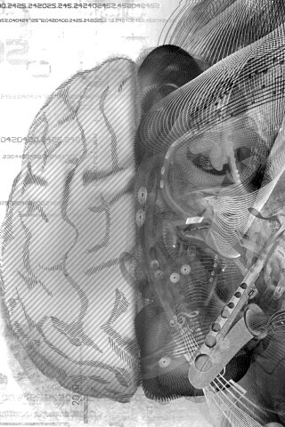 Левая и правая половина мозга обои