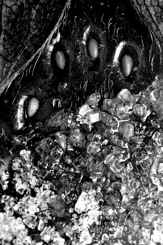 Клубника в сахаре обои