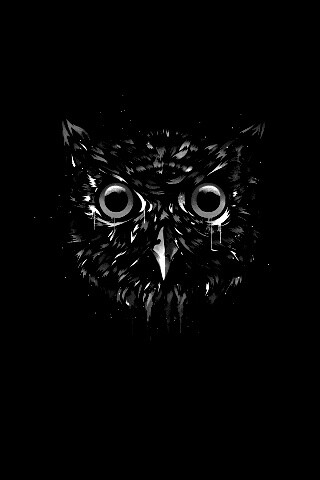 Векторная совиная голова обои