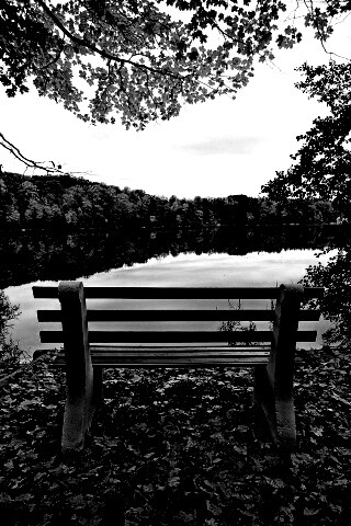 Вид на осеннее озеро обои