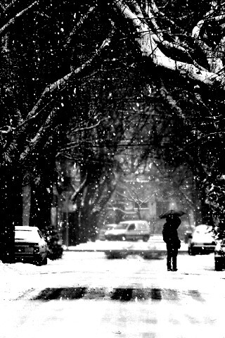 Зимняя улица обои