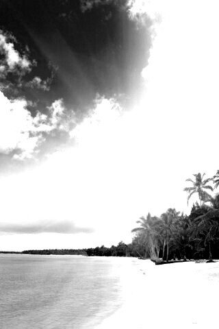 Тропическое побережье обои