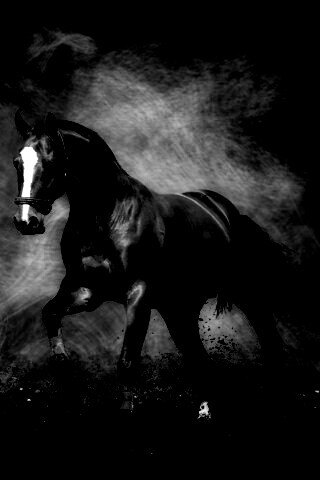 Лошадь обои