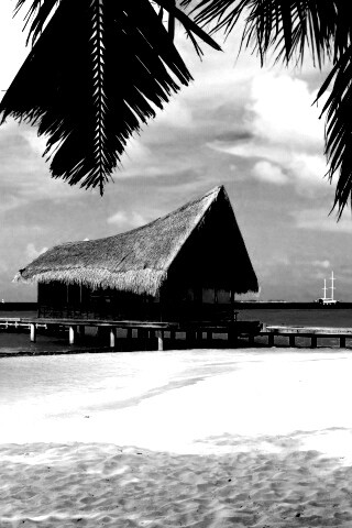 Бунгало обои