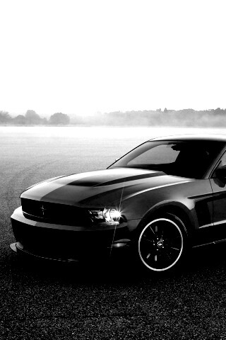 Мустанг обои