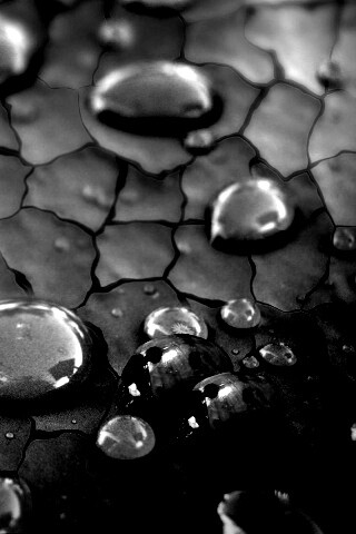 Божьи коровки обои