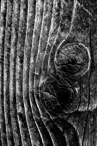 Сучковатое дерево обои