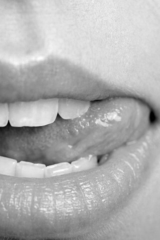 Сочные губки обои