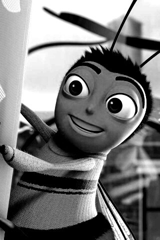 Бимуви обои