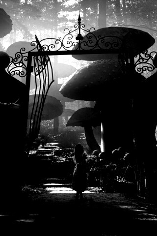 Алиса в стране чудес среди живых цветов обои