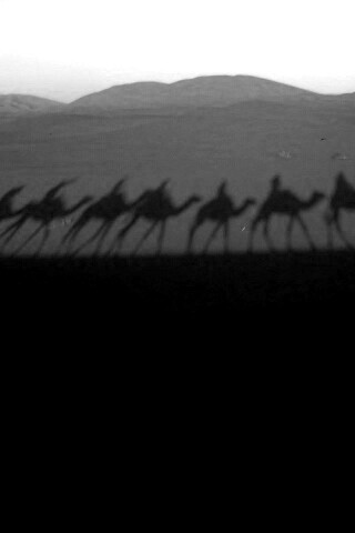 Караван обои