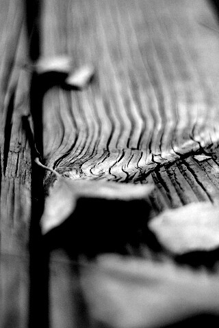 Листья на дощатом полу обои