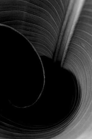 Зеленый лист трубочкой обои