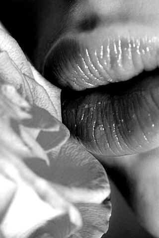 Губы девушки и роза обои