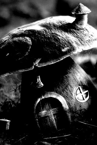 Грибы домики обои