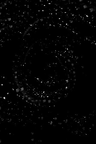 Красная роза обои