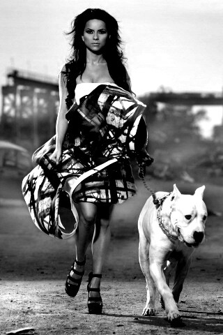 Девушка с питбулем обои