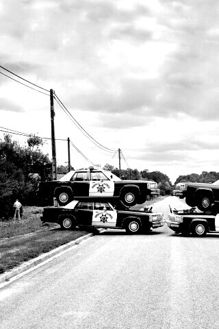 Шеф сказал двойное заграждение обои