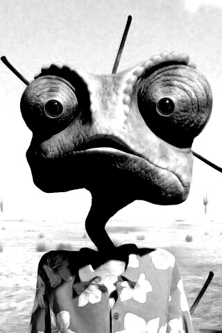 Ранго в колючках от кактуса обои