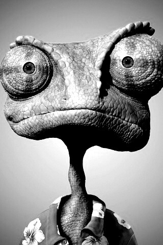 Хамелеон Ранго обои