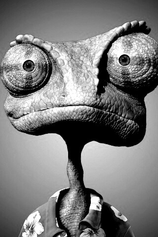 Ранго на красном фоне обои