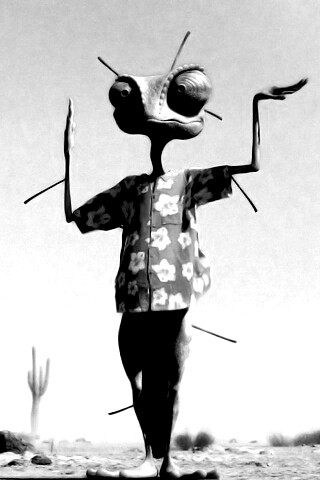 Ранго и кактус обои