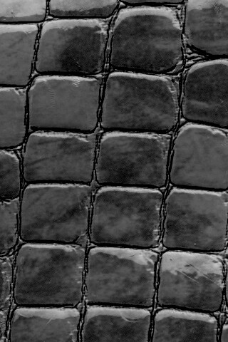 Змеиная кожа обои